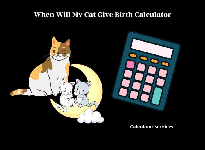 when will my cat give birth calculator