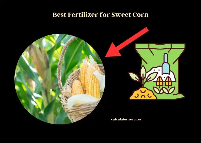 best fertilizer for sweet corn
