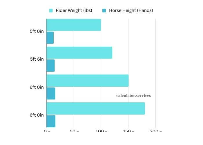 visual chart (2) horse size chart by rider height and weight